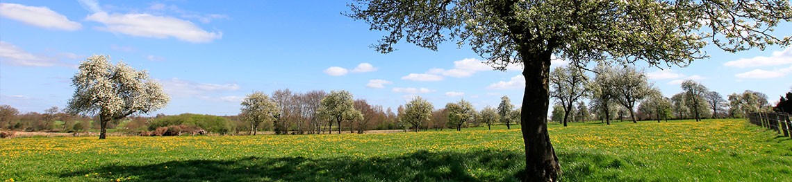bandeau de paysage du Domfrontais