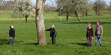 Famille Pacory