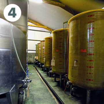 poiré in vats