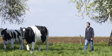 Thierry Boisgontier, Ferme des Martellières